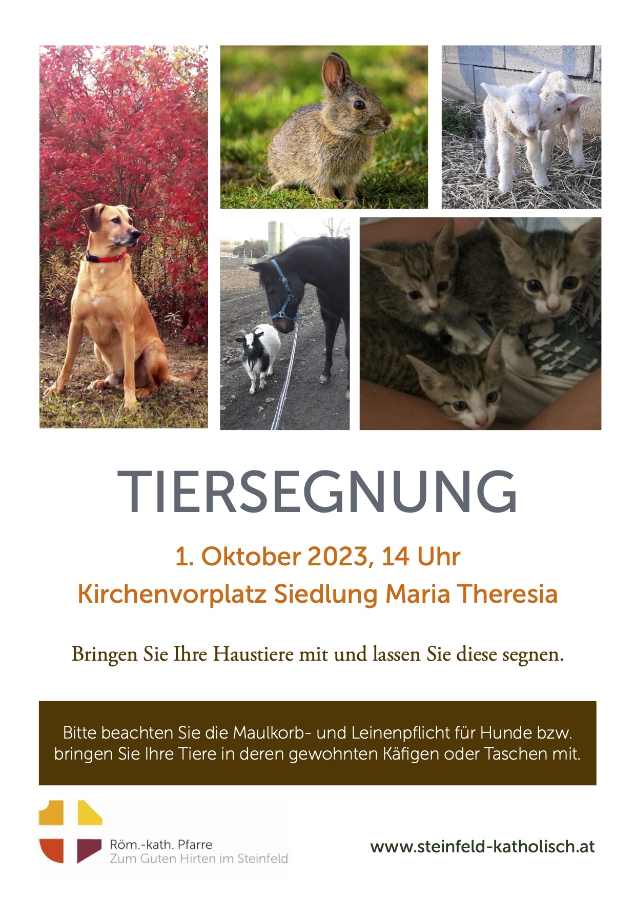 Tiersegnung 2023